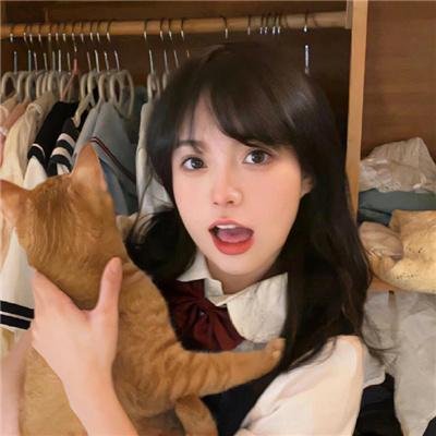马路骑士